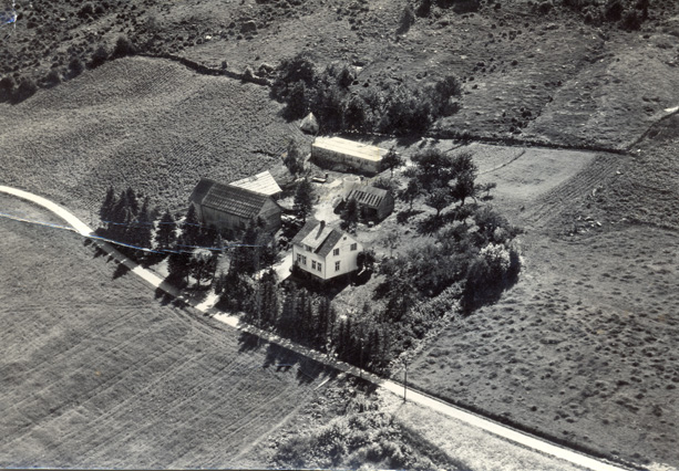 Garden "Nybø" på Øvre Sandvik ca 1956